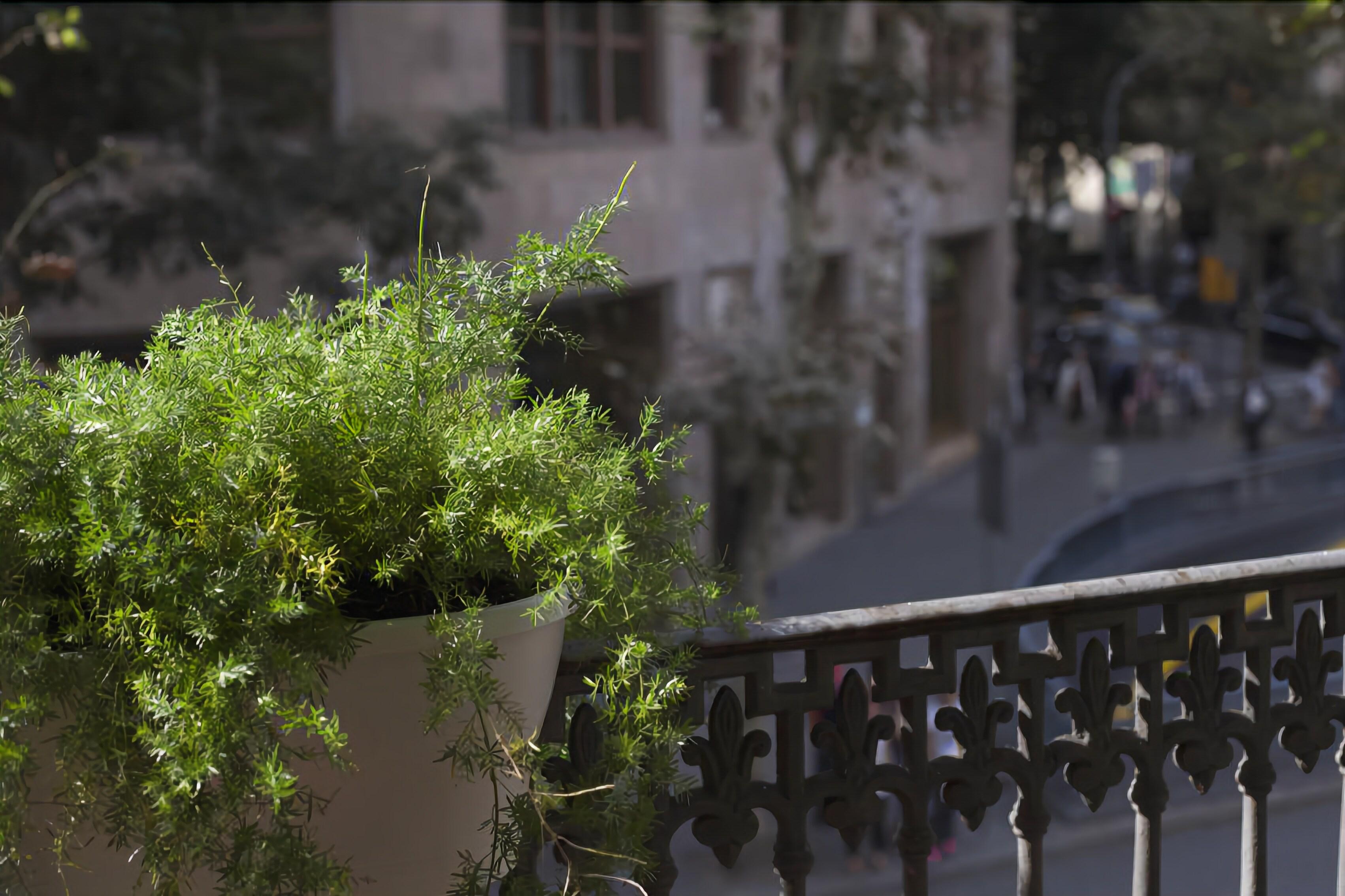 Amra Barcelona Caspe — Foto’s 3